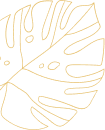 vector